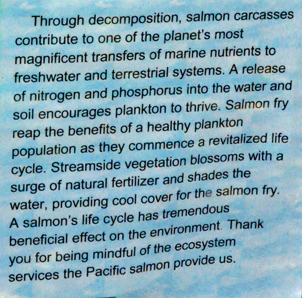 sign: journey of the Pacific Salmon 